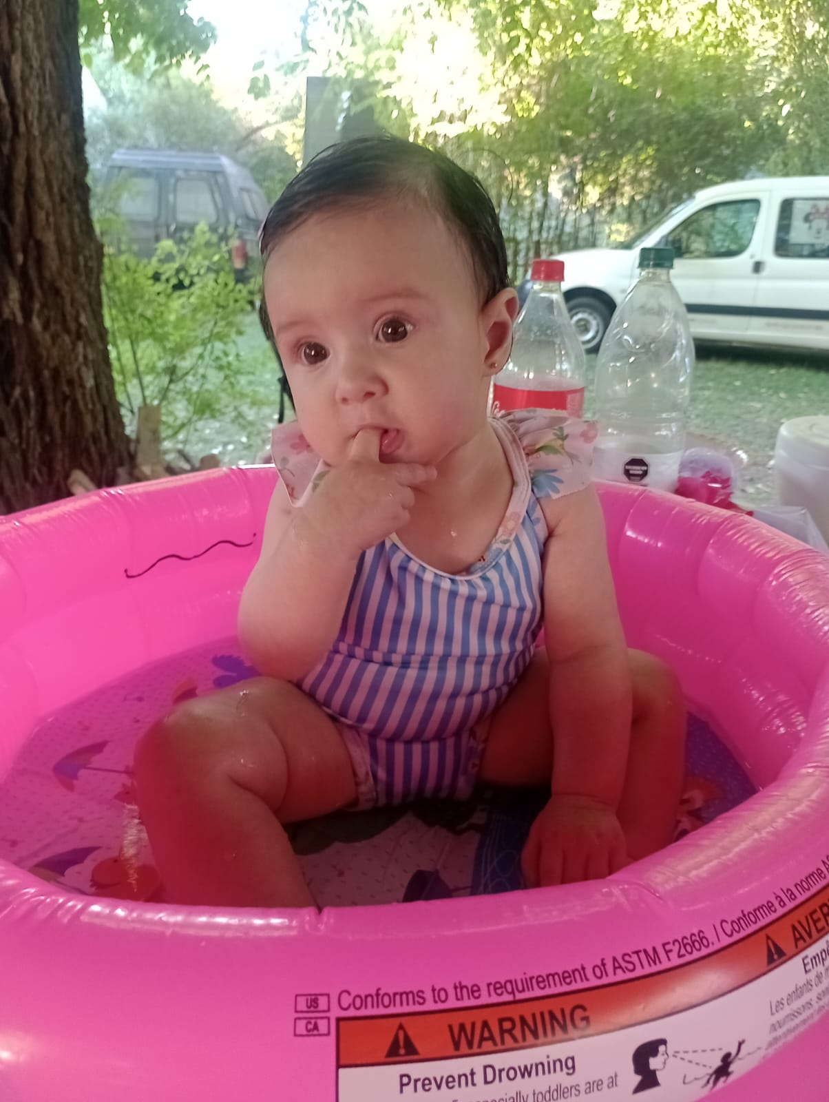 WhatsApp Image 2025-02-03 at 12.33.13.jpeg